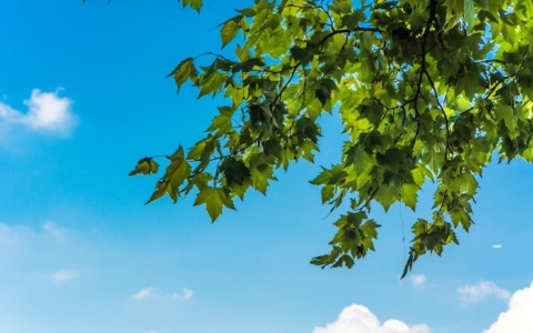 Frisse Lucht 6